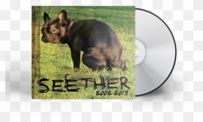 Seether - 20022013 2xcd Seether 2002 2013 Emoji,Bitter Emotion Animal Pictures