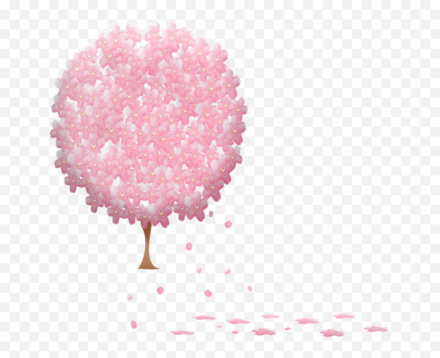 Free Photo Petals Cherry Blossoms Tree Sakura Flowers - Max Girly Emoji,Sakura Sakura Sweet Emotion