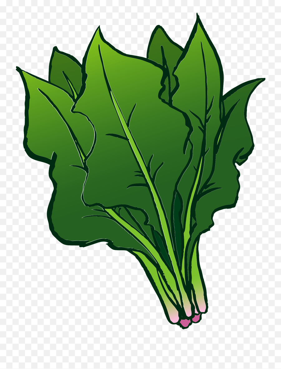 Spinach Leaves Clipart Free Download Transparent Png - Transparent Spinach Clipart Emoji,Kale Emoji