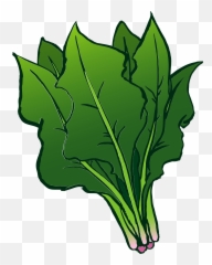 Spinach Leaves Clipart Free Download Transparent Png - Transparent Spinach Clipart Emoji,Kale Emoji