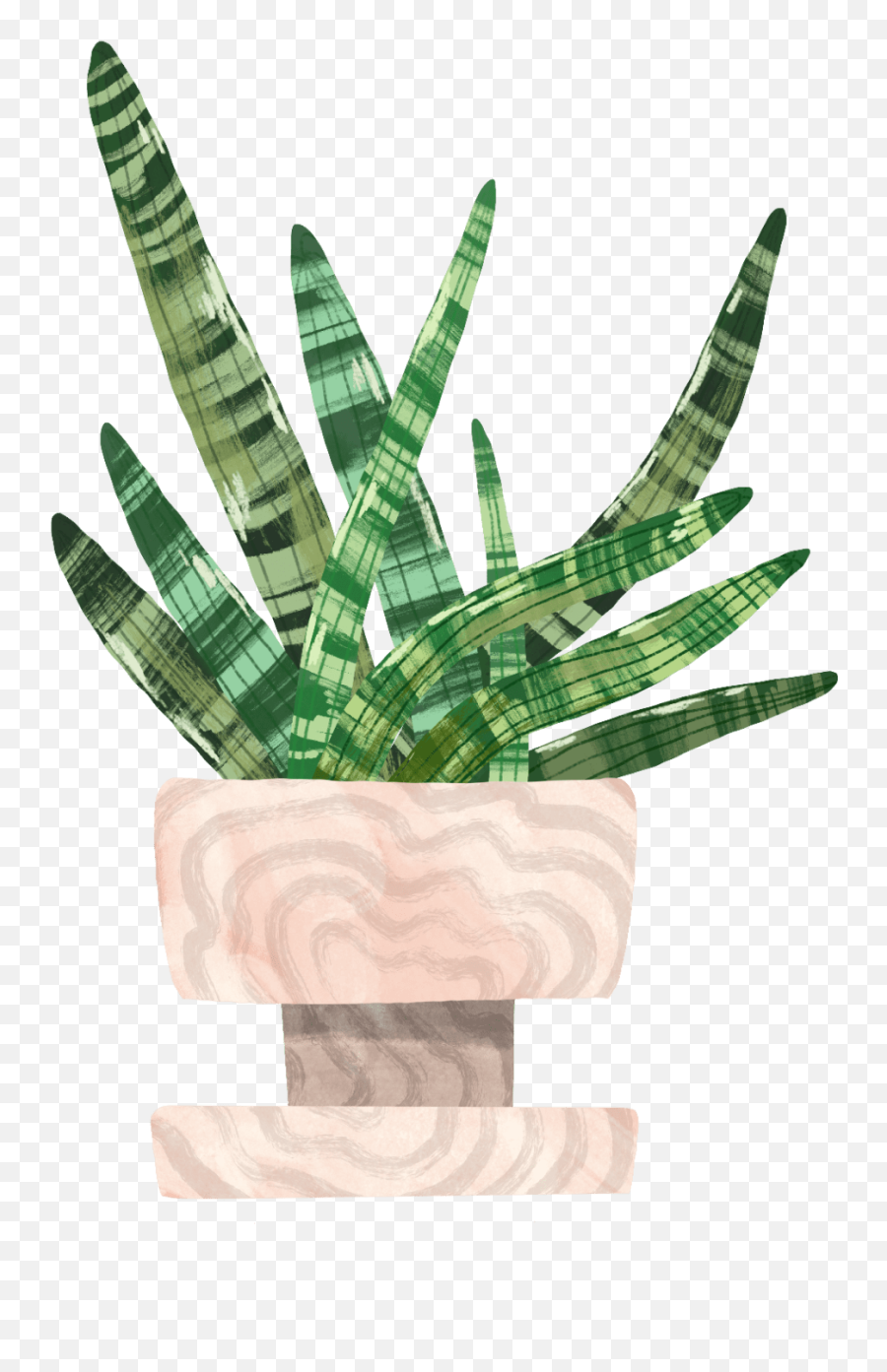 Starfish Snake Plant Plant Care Guide Emoji,Potted Planet Emoji