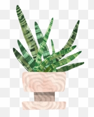 Starfish Snake Plant Plant Care Guide Emoji,Potted Planet Emoji