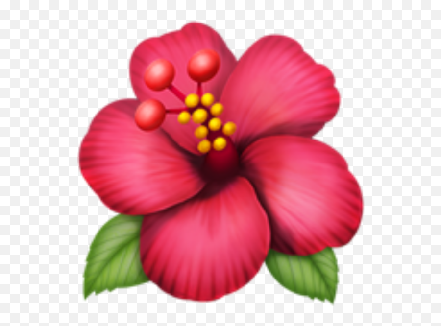 Flower Emoji Png Flower Emoji Png - Hibiscus Emoji,Cherry Blossom Emoji