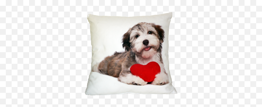 Cuscino 40x40 In Pile - Puppy With Love Heart Emoji,Cuscini Emoticon