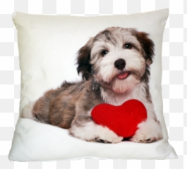 Cuscino 40x40 In Pile - Puppy With Love Heart Emoji,Cuscini Emoticon
