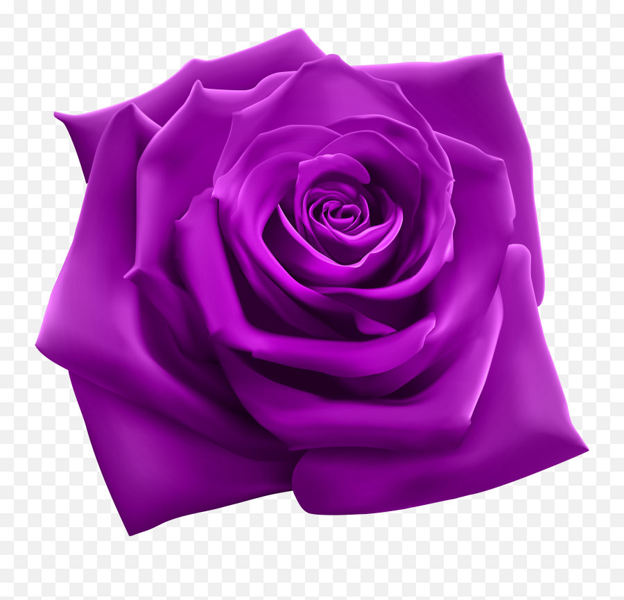 Purple Roses Pink Rose Png - Flower Purple Rose Png Emoji,Rose Emoticon For Tatto