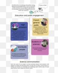 Toulouse Insa - Vertical Emoji,Sims 4 Research Playful Emotion