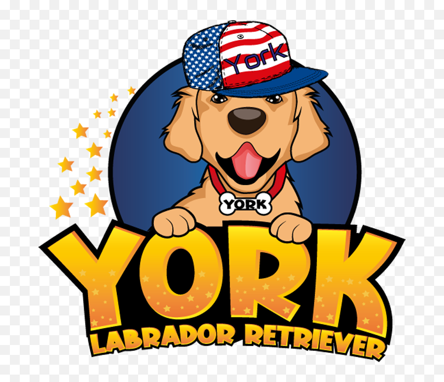 News And Life Of York Golden Retriever - Happy Emoji,Happy Birthday Emoticons With Labrador Retriever
