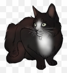 Message Wallprincessm72305 Animal Groups Roleplay Wiki - Domestic Cat Emoji,Cat Butt Emoticon Kawaii