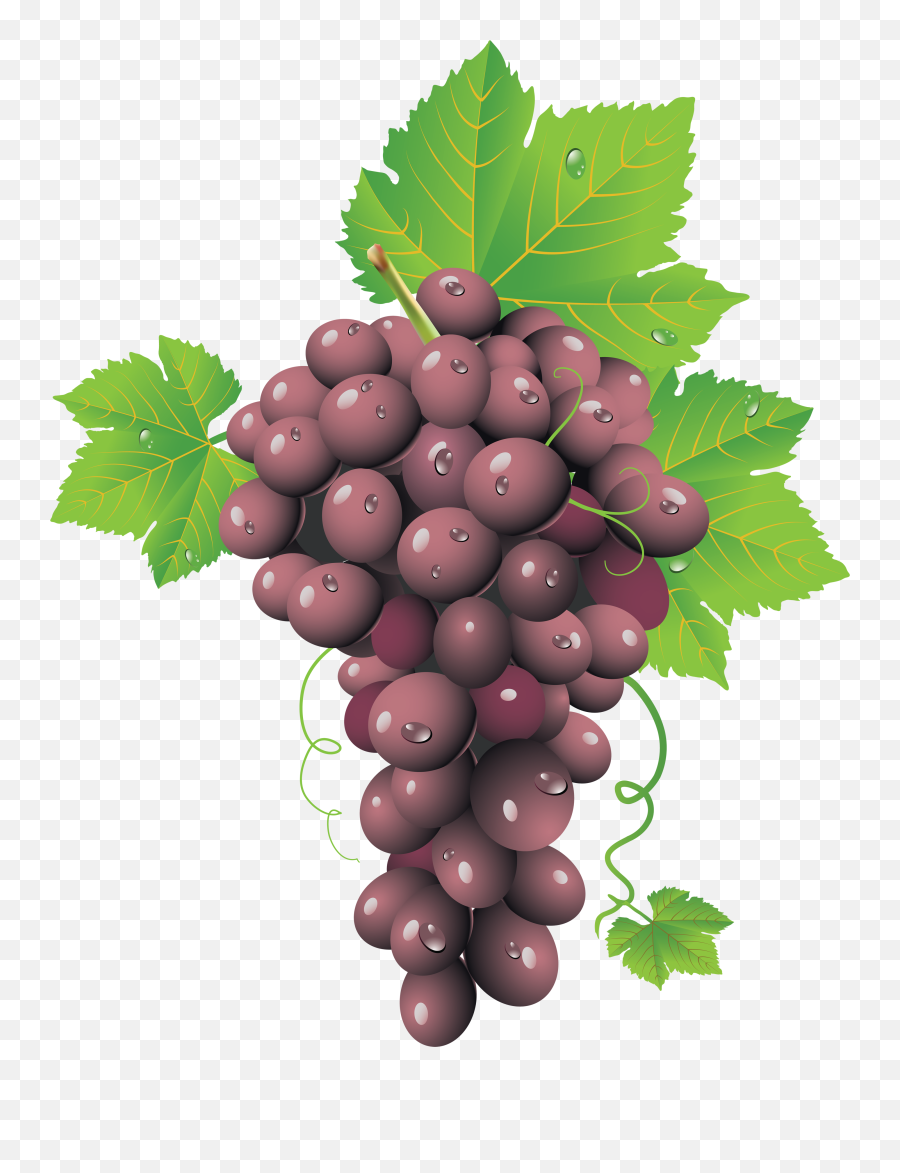 Red Grapes Png Image - Transparent Background Red Grapes Clipart Emoji,Grape Emoji