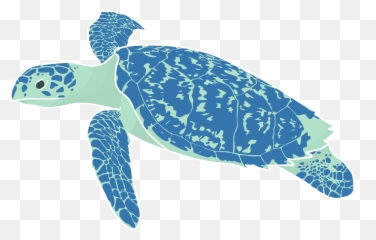 Pin On Redbubble - Hawksbill Sea Turtle Emoji,Blue Emotion 18