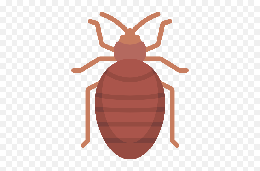 Bedbugs Images Free Vectors Stock Photos U0026 Psd Emoji,Roach Emoji