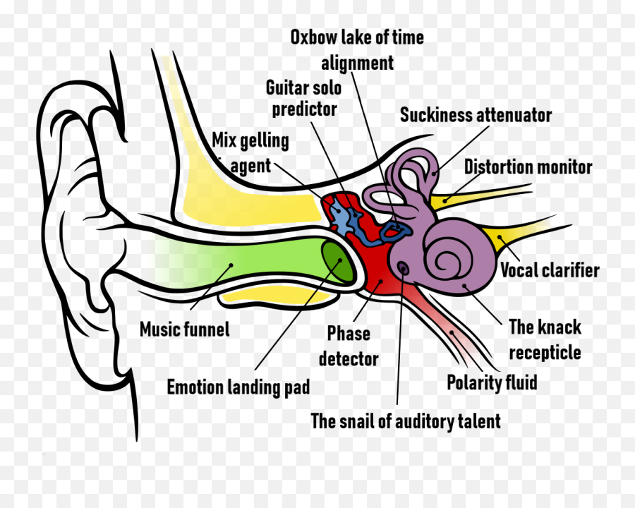 Grow Your Ears For Music - Anatomy Of The Human Ear Emoji,Music And Emotion