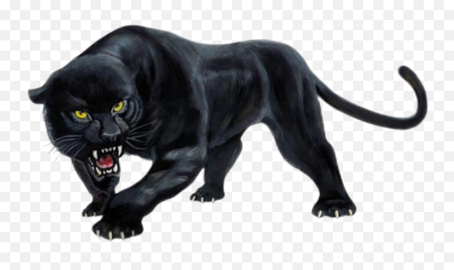 The Most Edited - Black Panther Animal Png Emoji,Pantera Emoji