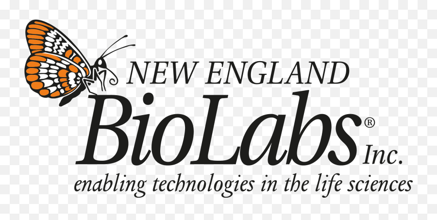 Teamnottinghamtesthuman Practicesemoji Report - 2018 New England Biolabs,Musical Notes Emojis