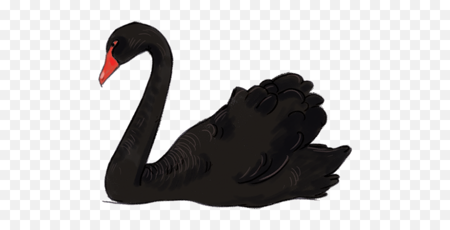 Black Swan Clipart Hans - Clip Art Black Swan Emoji,Is There A Swan Emoji