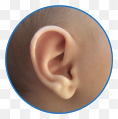 Ear Of The Month Award - Solid Emoji,Nekomimi Emotion Ears