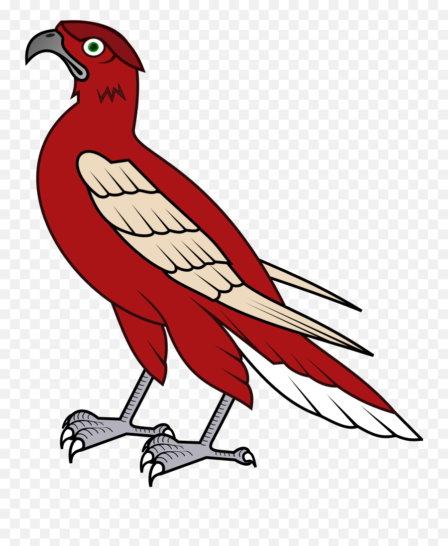 Hunting Bird Hawk Drawing Free Image Download - Cartoon Falcons No Background Emoji,Emotions Falcon