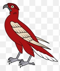 Hunting Bird Hawk Drawing Free Image Download - Cartoon Falcons No Background Emoji,Emotions Falcon