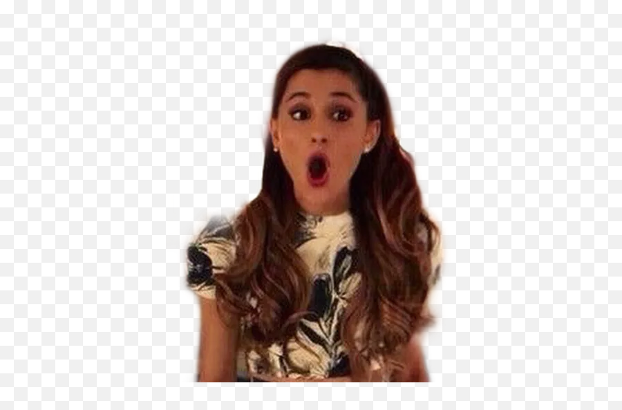 Annoying Orange Whatsapp Stickers - Stickers Cloud Stickers De Ariana Grande Emoji,Ariana Grande Emoji