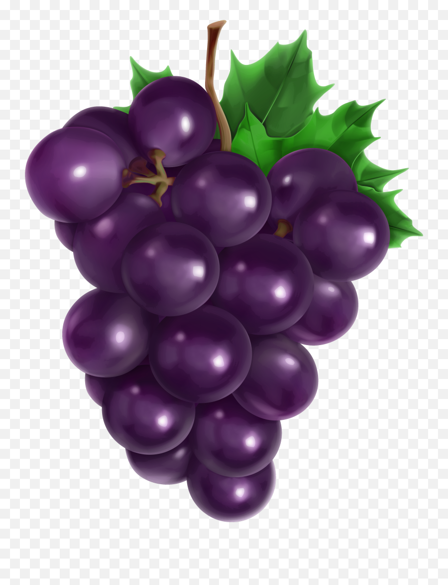 Mq Purple Grape Grapes Fruit Sticker - Transparent Background Grapes Clipart Emoji,Grape Emoji