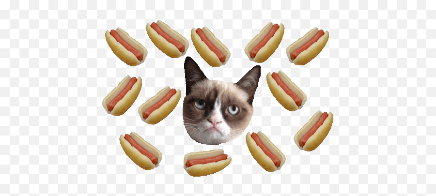 Pin - Grumpy Cat Transparent Emoji,Eating Hotdogs Emoticons Animated Gif