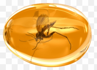 Amber Meaning U2013 Custom Crystal - Transparent Amber Emoji,Herkimer Diamond Emotion Balancer