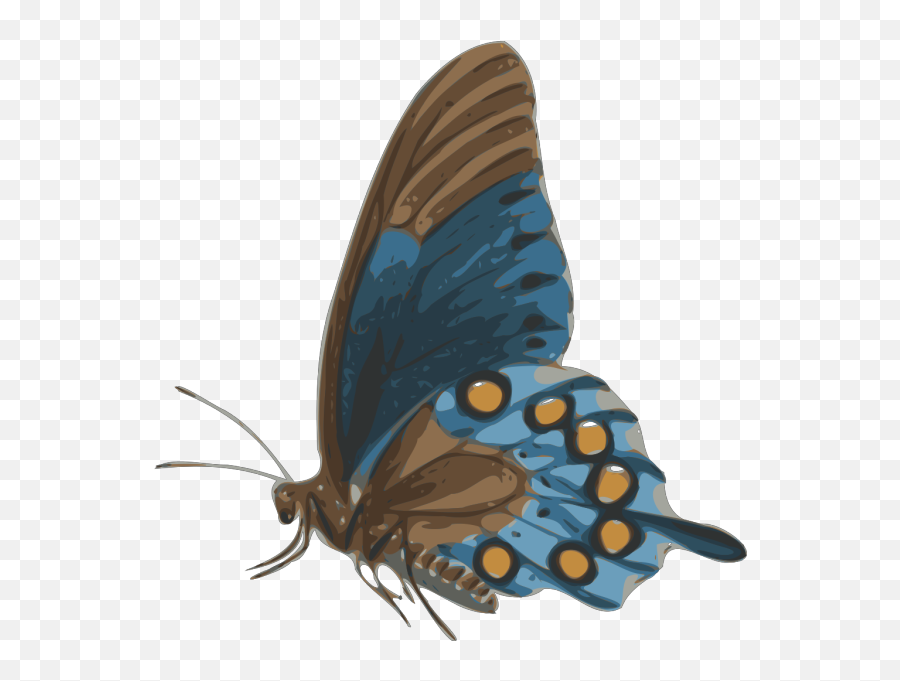 Simple Butterfly Wallpaper Png Svg Clip Art For Web - Butterflies Side View Png Emoji,Purplebutterfly Emojis
