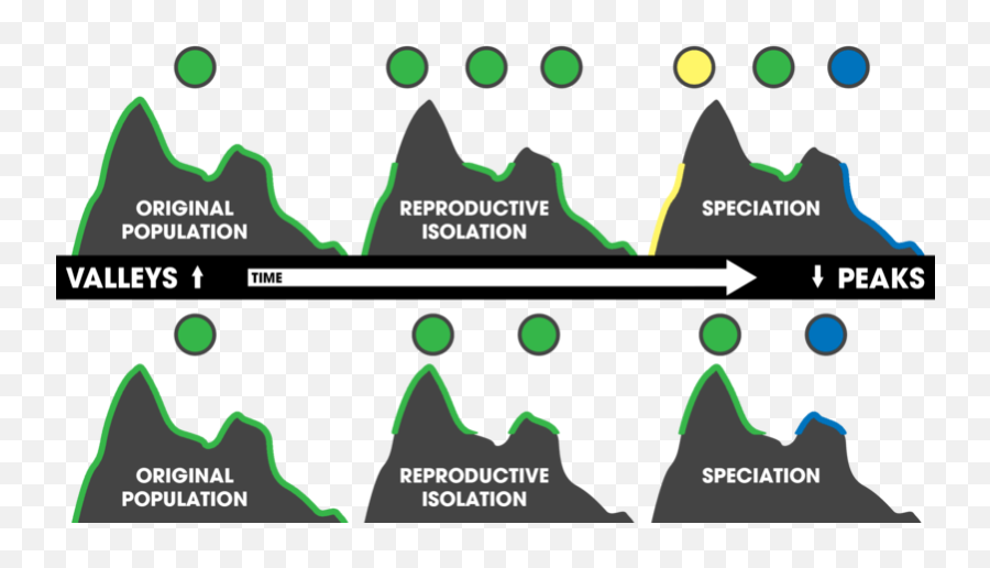 Geographic Isolation U2014 Definition U0026 Examples - Expii Emoji,Csun Emoticon