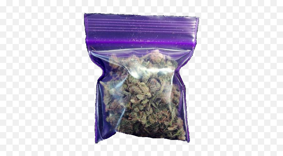 Cannabis Smoking Humour Joint - Weed Png Download 500514 Emoji,Marjiuana Emoji