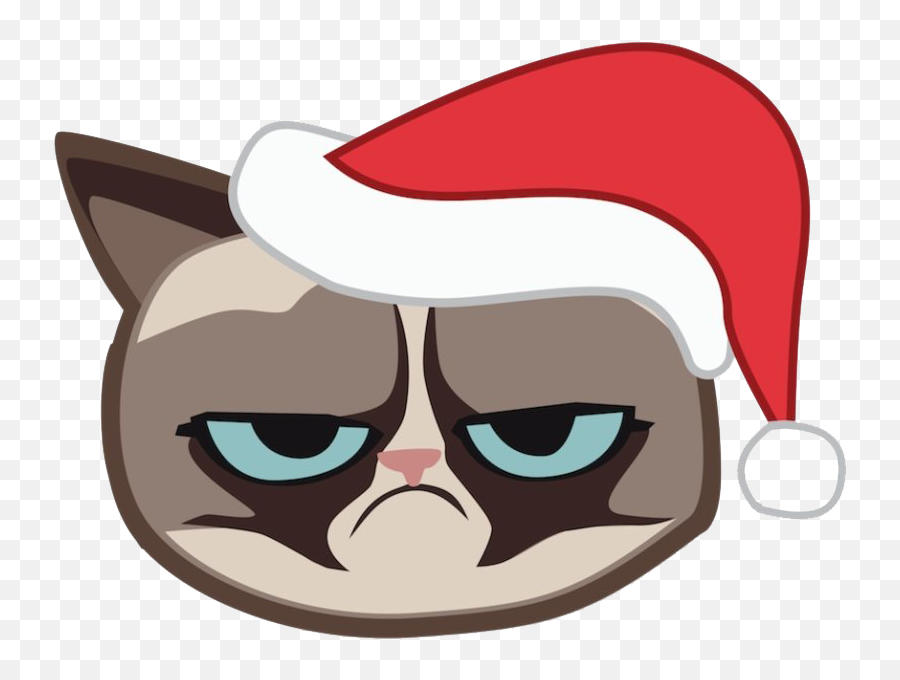 Download Grumpy Face Cat Png Image High Quality Hq Png Image Emoji,Cat Smiling Emoji