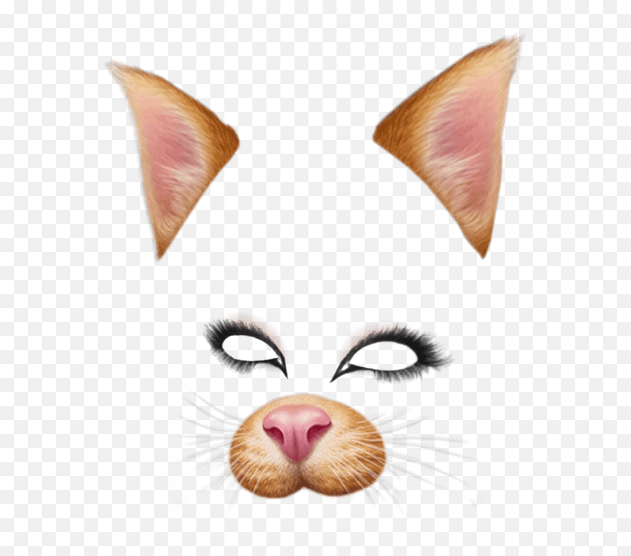 Snapchat Dog Face Sticker Transparent - Snapchat Cat Filter Transparent Emoji,Snapchat Dog Emoji