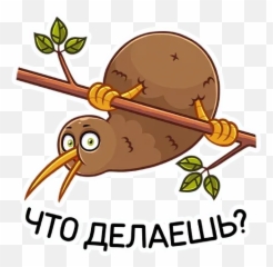 Kiwi Bird Whatsapp Stickers - Bird Emoji,Kiwi Bird Emoji