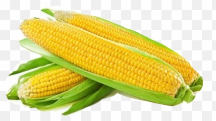 The Most Edited Corncob Picsart - American Sweet Corn Emoji,Corncob Emojis