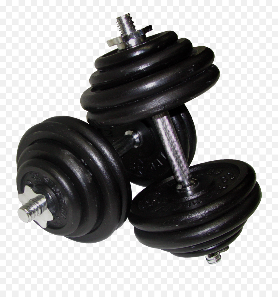 Muscle Clipart Dumbells Muscle - Dumbbells Png Emoji,Dumbell Emojis