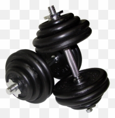 Muscle Clipart Dumbells Muscle - Dumbbells Png Emoji,Dumbell Emojis