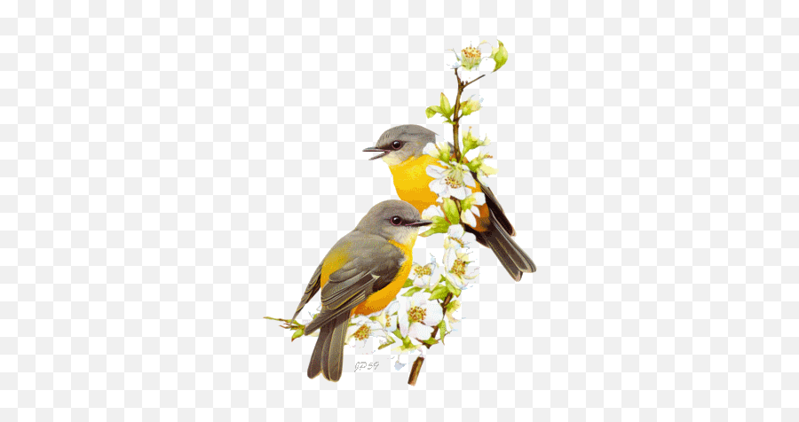 Birds Gifs Ideas - Transparent Yellow Bird Png Emoji,Fast Bird Emoji Gif