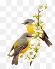 Birds Gifs Ideas - Transparent Yellow Bird Png Emoji,Fast Bird Emoji Gif