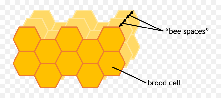 Apis Cerana - Oriental Honeybee Taxo4254 Wikinus Emoji,Image Of Worker Bee Emoticon