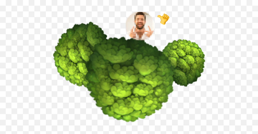 Public By Default - Broccoli Emoji,Venmo Car Emoji