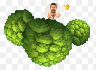 Public By Default - Broccoli Emoji,Venmo Car Emoji