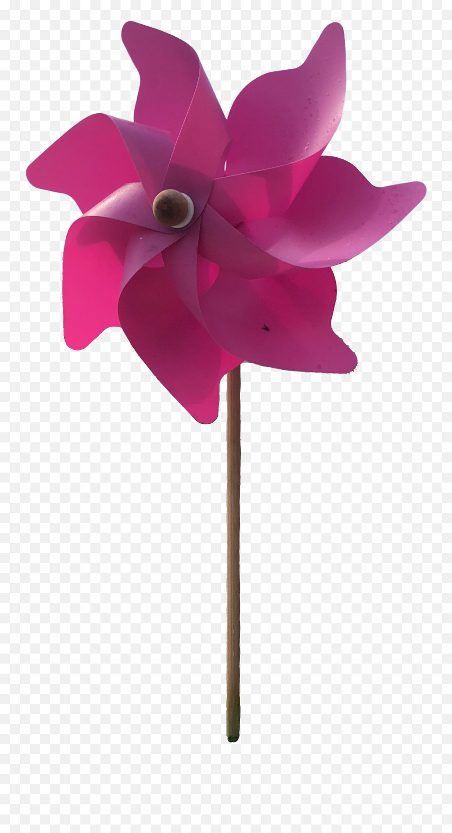 The Most Edited - Girly Emoji,Wind Pinwheel Emoji