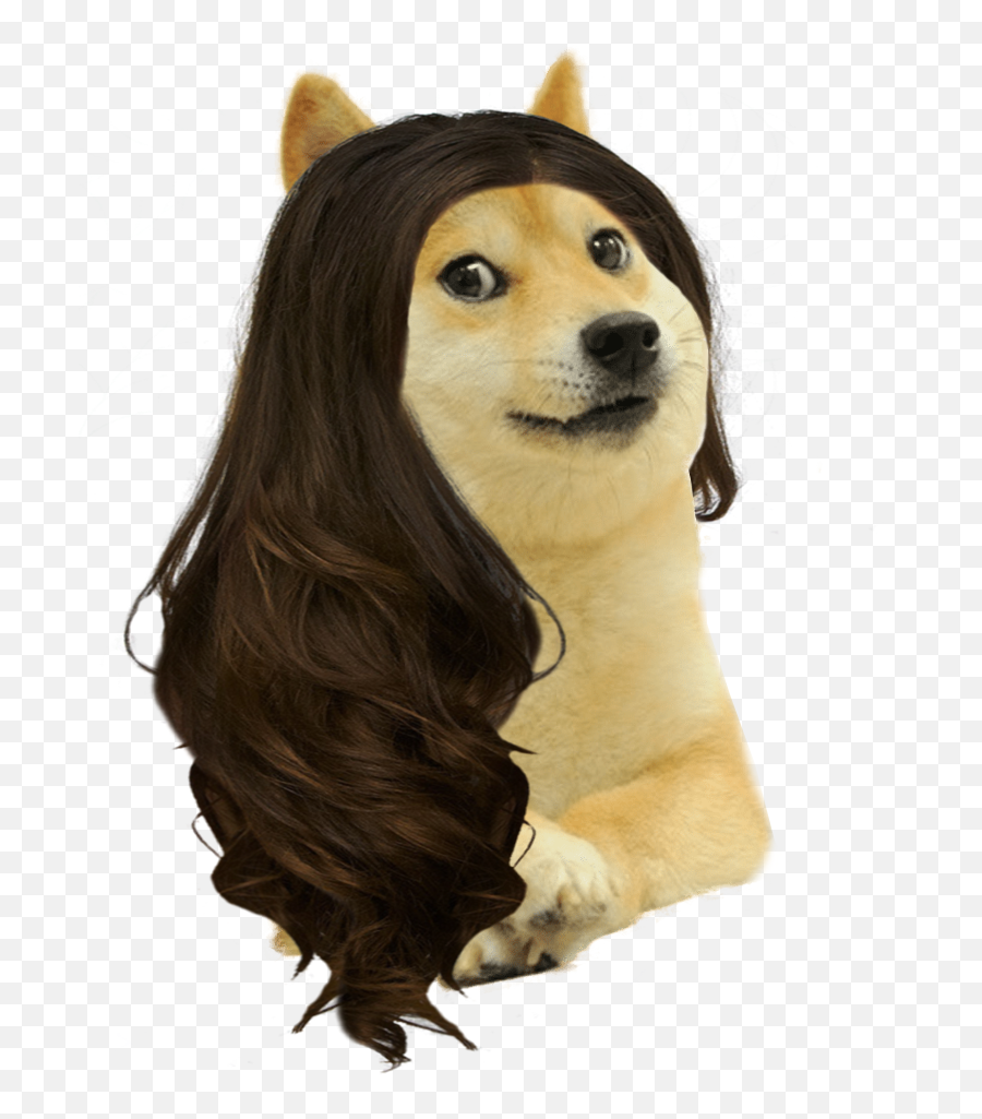 Swole Doge Template 2 U2013 Artofit - Mom Doge Png Emoji,Funny Doge Emojis For Iphone