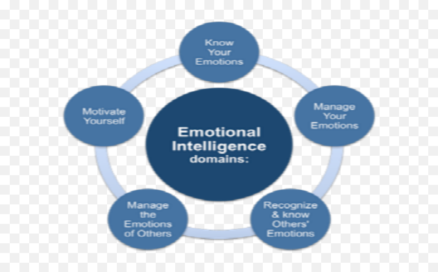The App - Understanding Emotional Intelligence Emoji,List Of Emotion Domains