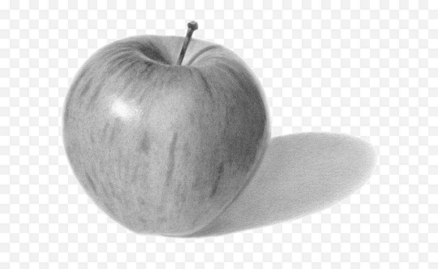 Latest Drawing Realistic Apple Outline - Pencil Drawings Of Realistic Things Emoji,Roblox Emotions Cilpart