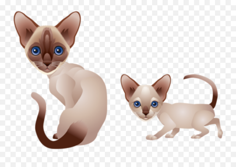 The Most Edited Catt Picsart Emoji,Siamese Cat Emoticon