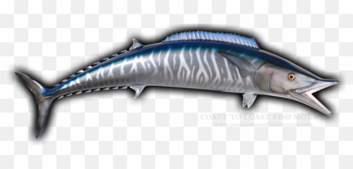 Wahoo Fish Mount Replica - Atlantic Blue Marlin Emoji,Fosh Feather Emotions