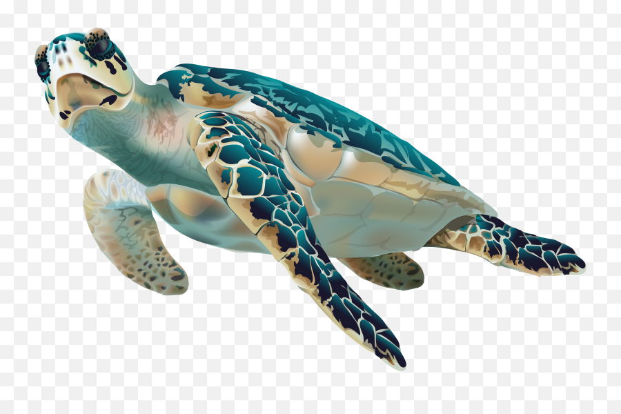 Loggerhead - Sea Turtle Transparent Emoji,Sea Turtle Emoji