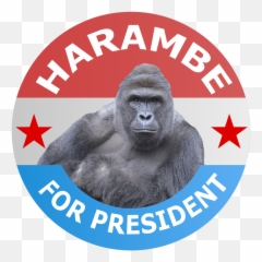 Gaben Arms Crossed - Il Melograno Emoji,Harambe Emoji