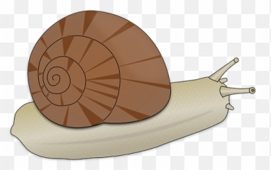 200 Free Snails U0026 Animal Illustrations Emoji,Slug Emoji Png